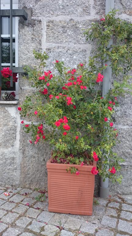 Casa O Torgal Βίλα Parada del Sil Εξωτερικό φωτογραφία